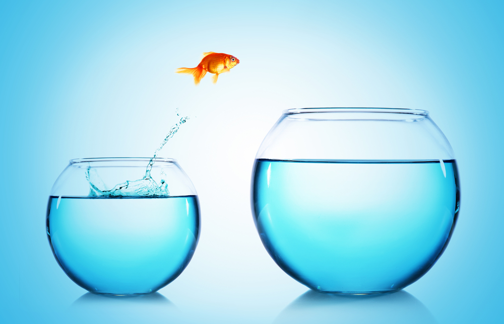 Photo illustration article Comment changer de métier après 45 ans